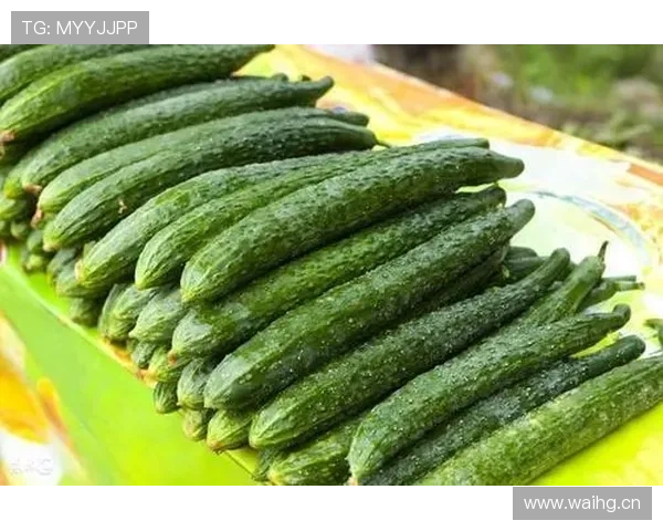 张志磊一顿外卖的钱，我都能吃半个月了